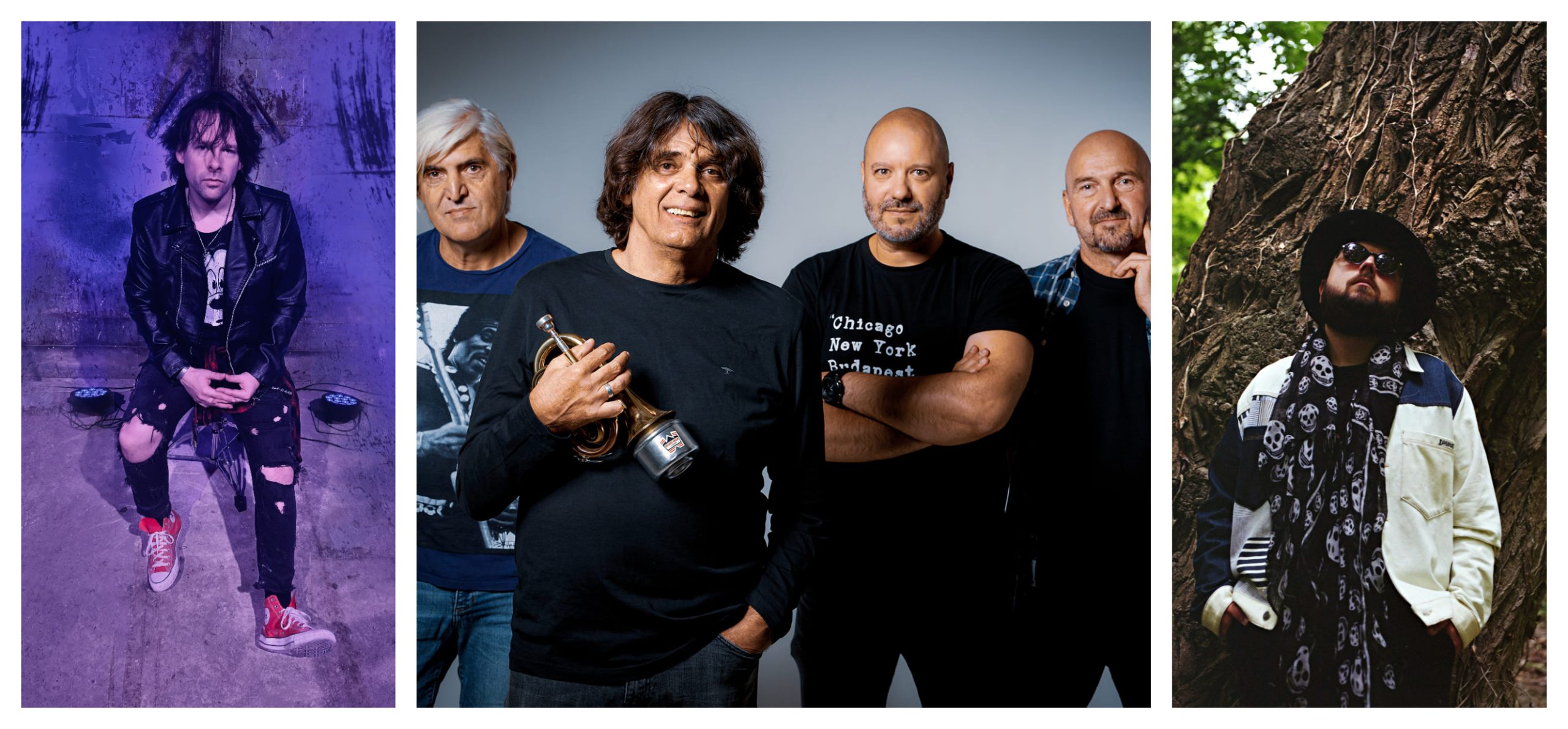 XVI. Vár Blues Fesztivál